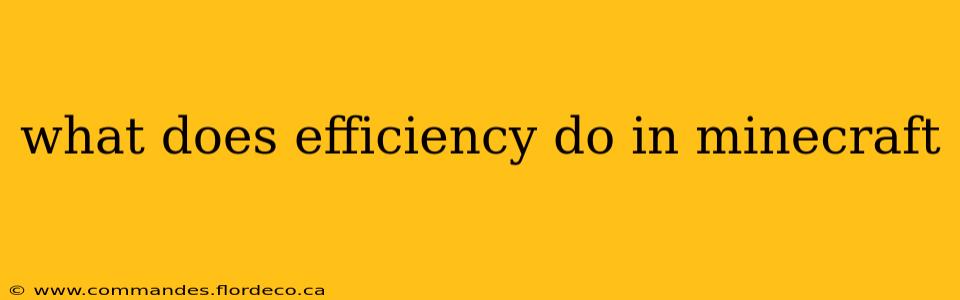 what does efficiency do in minecraft