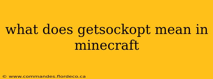 what does getsockopt mean in minecraft