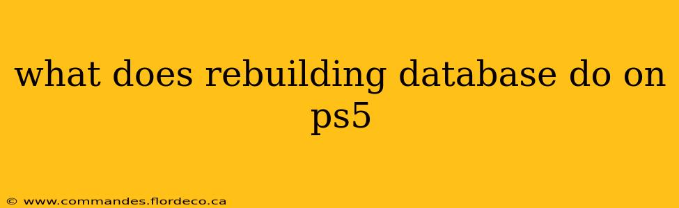 what does rebuilding database do on ps5