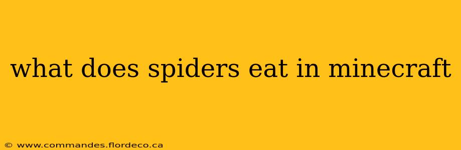 what does spiders eat in minecraft
