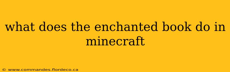what does the enchanted book do in minecraft