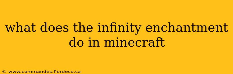 what does the infinity enchantment do in minecraft
