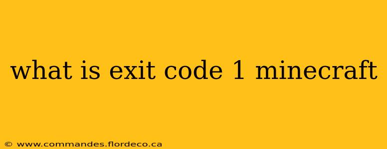 what is exit code 1 minecraft