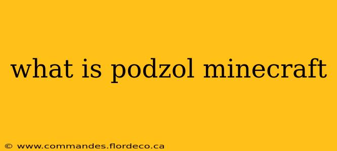 what is podzol minecraft