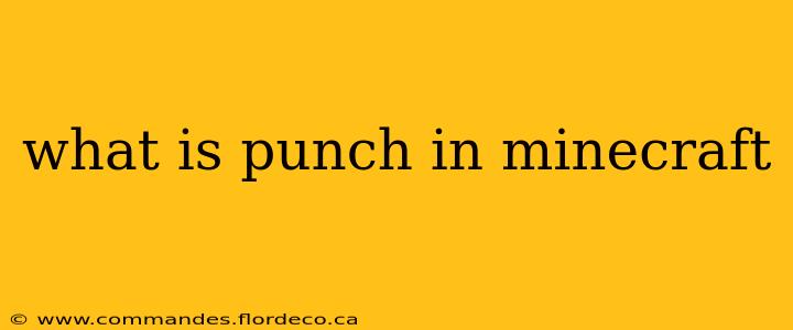 what is punch in minecraft