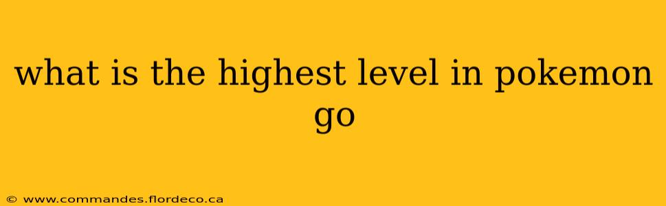 what is the highest level in pokemon go