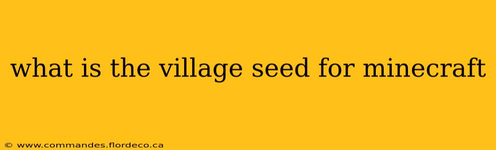 what is the village seed for minecraft
