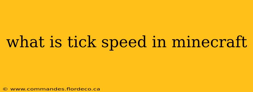 what is tick speed in minecraft