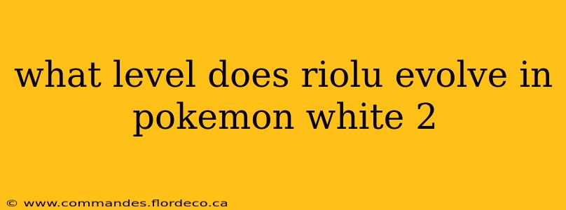 what level does riolu evolve in pokemon white 2