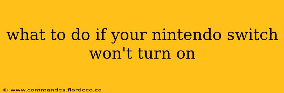 what to do if your nintendo switch won't turn on