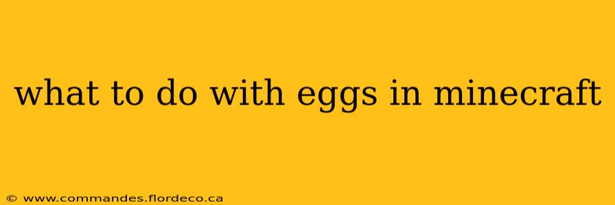 what to do with eggs in minecraft
