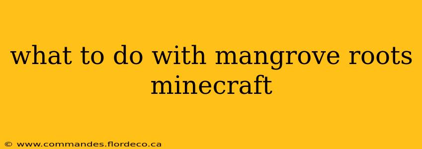 what to do with mangrove roots minecraft