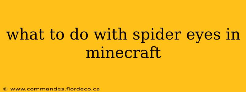 what to do with spider eyes in minecraft