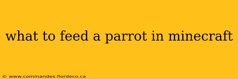 what to feed a parrot in minecraft