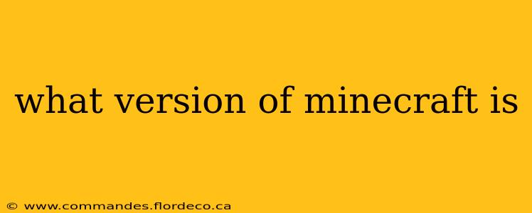 what version of minecraft is