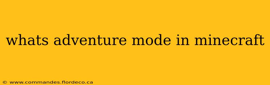 whats adventure mode in minecraft