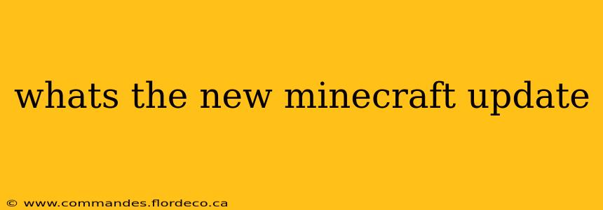 whats the new minecraft update