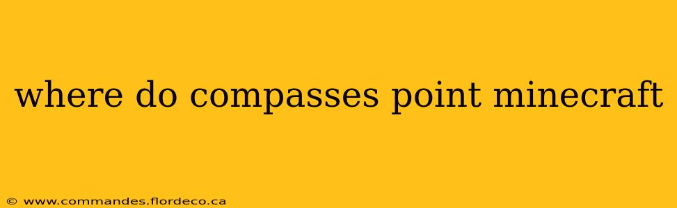 where do compasses point minecraft