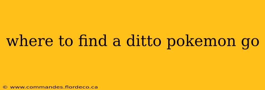 where to find a ditto pokemon go