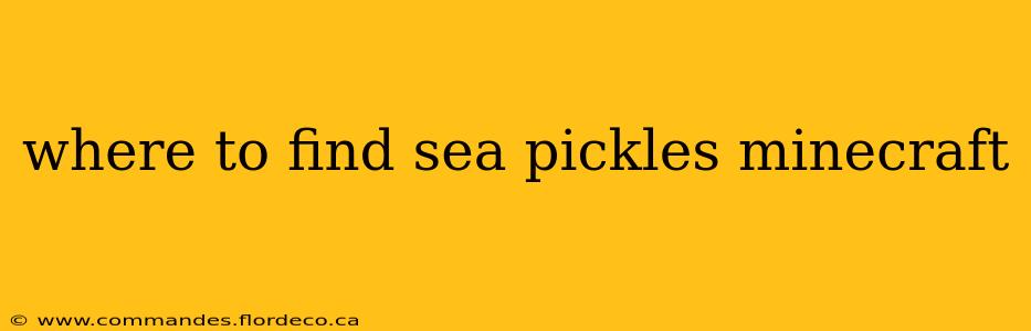 where to find sea pickles minecraft