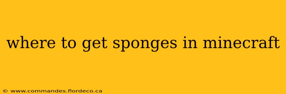 where to get sponges in minecraft