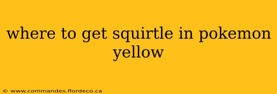 where to get squirtle in pokemon yellow