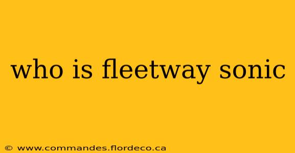 who is fleetway sonic