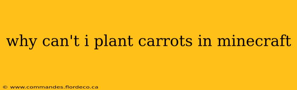 why can't i plant carrots in minecraft
