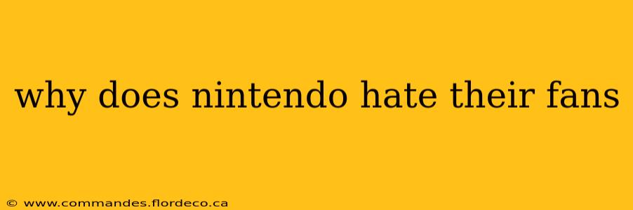 why does nintendo hate their fans
