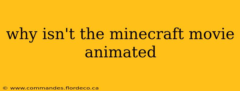 why isn't the minecraft movie animated
