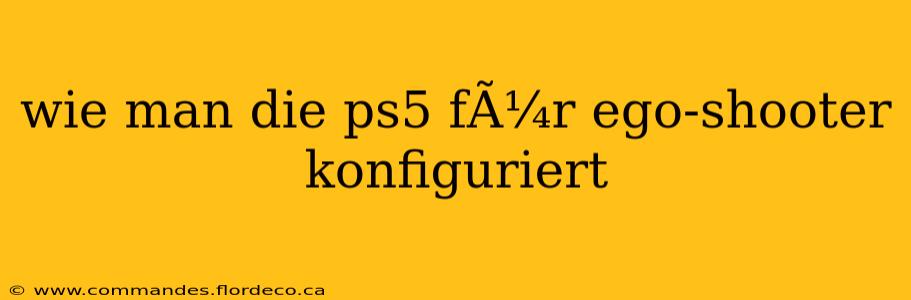 wie man die ps5 fÃ¼r ego-shooter konfiguriert