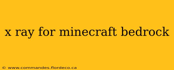 x ray for minecraft bedrock