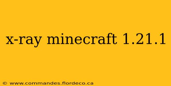 x-ray minecraft 1.21.1
