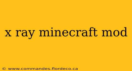 x ray minecraft mod